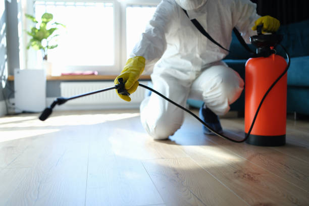 Reliable Infectious Disease Decontamination contractor in Belvidere, NE by Trauma Clean Pros